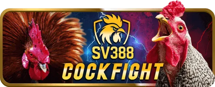 Hoàn Trả Tiền Thua Slot Game a888 bet