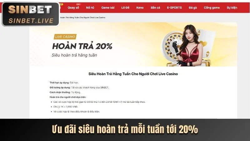 Hệ thống cá cược thể thao chuyên nghiệp
